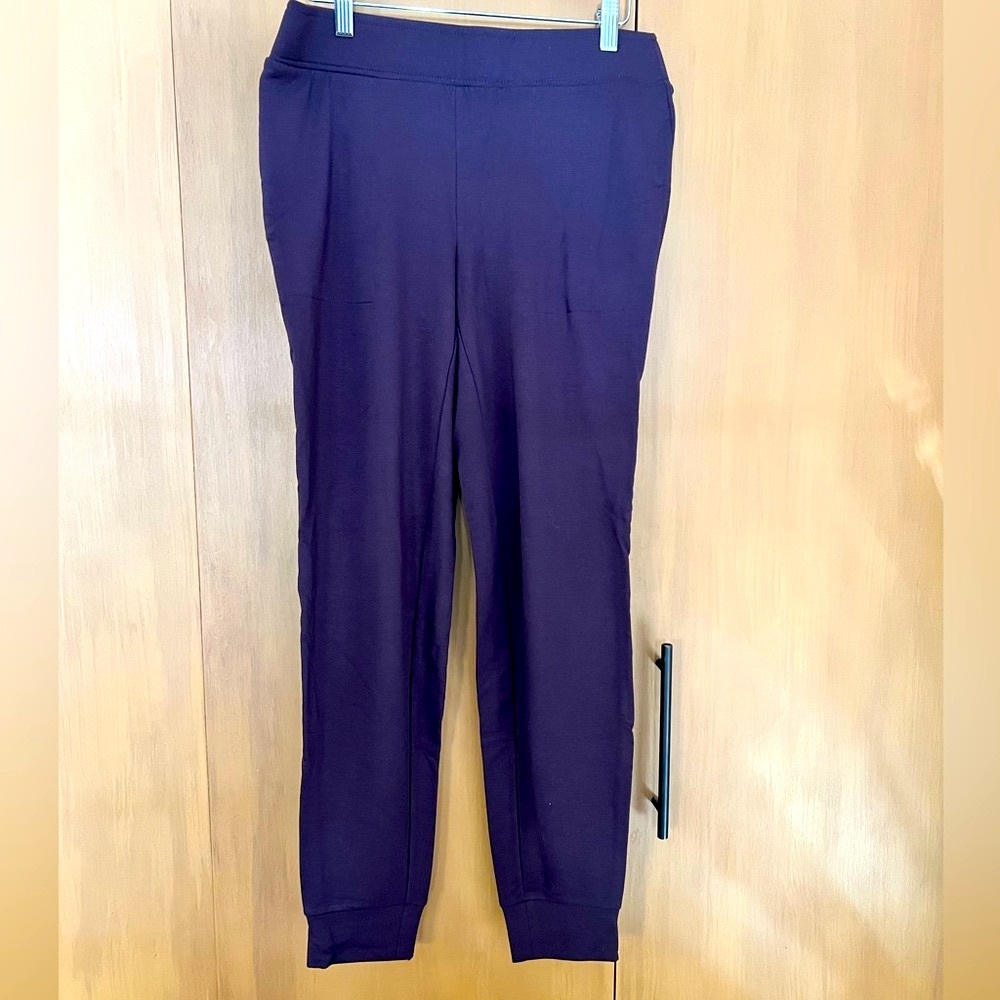 Pure Jill knit jogger pant, XS extra small, raisin (plum burgundy mix)